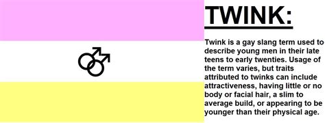 what is twink|TWINK Definition & Meaning 